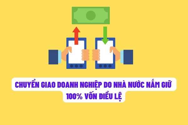 Chuyển giao quyền đại diện chủ sở hữu phần vốn góp trong doanh nghiệp do nhà nước nắm giữ 100% vốn điều lệ chỉ được thực hiện giữa các cơ quan nhà nước?