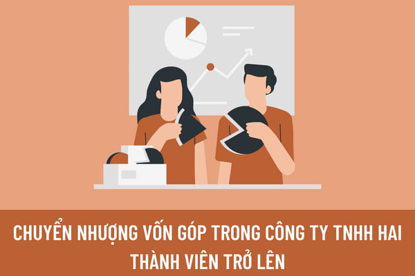 Chuyển nhượng vốn góp trong Công ty TNHH hai thành viên trở lên được thực hiện như thế nào?