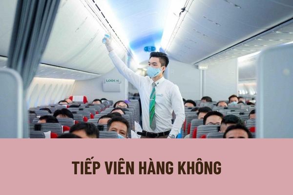 Tiếp viên hàng không phải nghe được lời nói thường cách xa 5 mét và nói thầm 0,5 mét có đúng không?