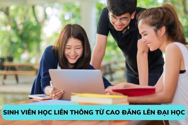 Sinh viên học liên thông từ cao đăng lên đại học thì có được tạm hoãn nghĩa vụ quân sự hay không?