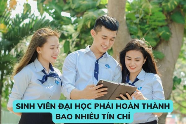 Sinh viên đại học phải hoàn thành bao nhiêu tín chỉ? Cấu trúc và nội dung chương trình đào tạo trình độ đại học như thế nào?