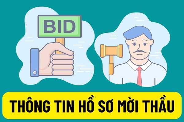 Phát hành thông báo mời thầu tham gia đấu thầu qua mạng phải đính kèm những tài liệu nào theo Thông tư 08/2022/TT-BKHĐT?