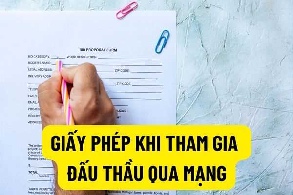 Nhà thầu phải cung cấp giấy phép bán hàng của nhà sản xuất khi tham gia đấu thầu qua mạng? Cung cấp hàng mẫu khi đấu thầu qua mạng ra sao?