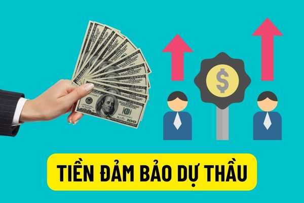 Tiền nộp đảm bảo dự thầu và thực hiện hợp đồng sẽ không được hoàn trả khi tham gia đấu thầu qua mạng theo Thông tư 08/2022/NĐ-CP?