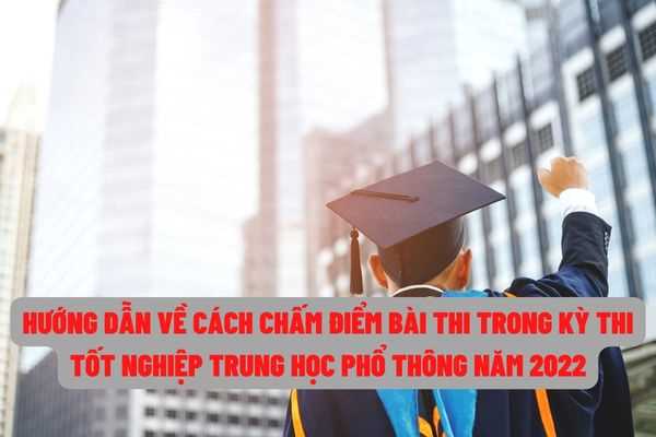 Thi Đại học năm 2022: Cách chấm điểm bài thi trắc nghiệm và bài thi tự luận theo hướng dẫn mới nhất của Bộ Giáo dục và Đào tạo?