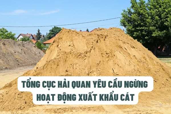 Tổng cục Hải quan yêu cầu ngừng thực hiện thủ tục xuất khẩu cát trên phạm vi toàn quốc?