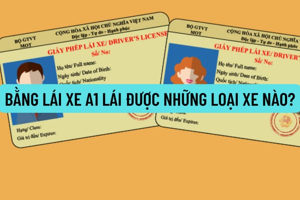 Bằng lái xe A1 lái được những loại xe nào? Độ tuổi được lái xe hạng A1 là bao nhiêu? Hồ sơ thi bằng lái xe A1 gồm những gì?