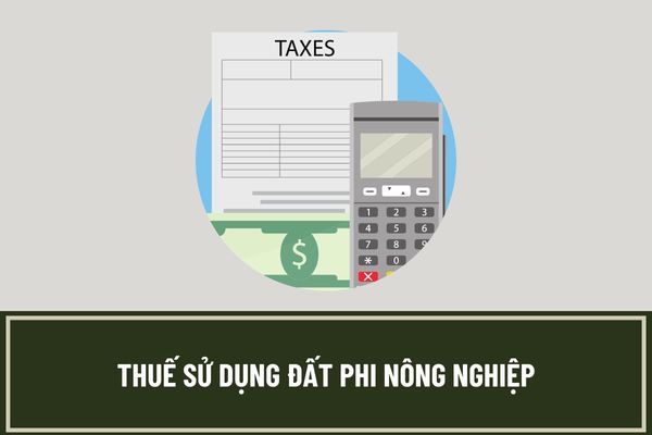 Ai là người nộp thuế sử dụng đất phi nông nghiệp? Tờ khai thuế sử dụng đất phi nông nghiệp trong trường hợp chuyển nhượng tặng cho quyền sử dụng đất?