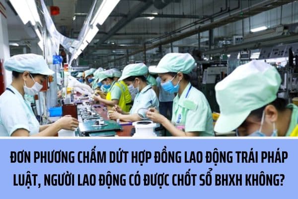 https://cdn.thuviennhadat.vn/upload/hinh-anh-bai-viet/17122024/TL/cham-dut-hop-dong-lao-dong-trai-phap-luat.jpg