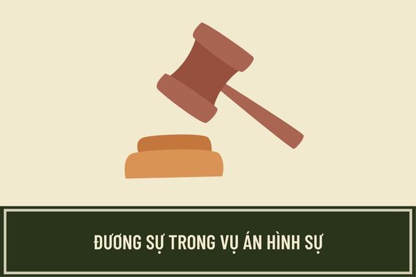 Đương sự trong tố tụng hình sự là những ai? Người bảo vệ quyền và lợi ích hợp pháp của đương sự trong vụ án hình sự là ai?