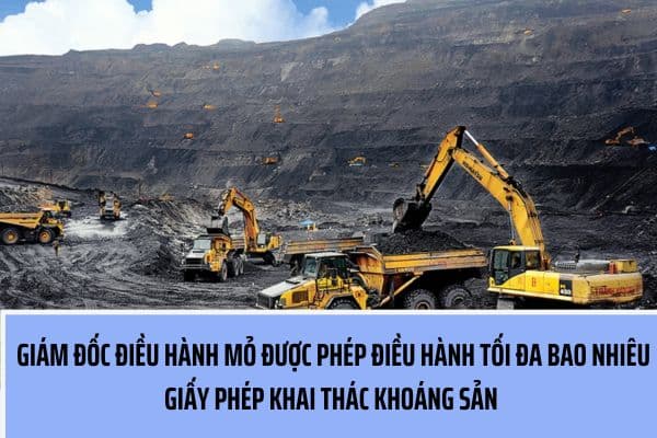 Giám đốc điều hành mỏ được điều hành hoạt động tối đa bao nhiêu Giấy phép khai thác khoáng sản?