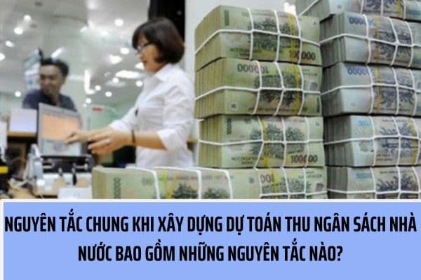 Nguyên tắc chung khi xây dựng dự toán thu ngân sách nhà nước 2024 bao gồm những nguyên tắc nào? (Hình từ Internet)