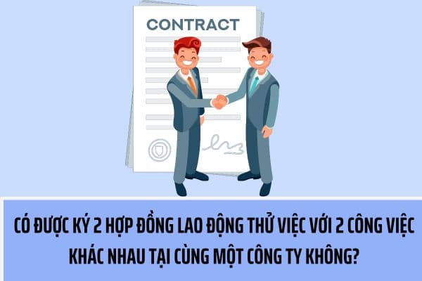 Người lao động có được ký 2 lần hợp đồng thử việc với 2 công việc khác nhau tại cùng một công ty không?