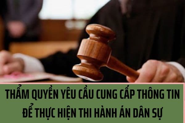 Những đối tượng nào có thẩm quyền trong việc yêu cầu cung cấp thông tin để thực hiện việc thi hành án dân sự? (Hình từ Internet)