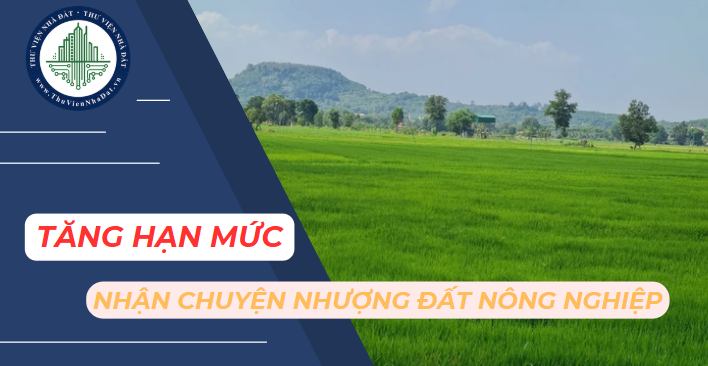 Tăng hạn mức nhận chuyển nhượng đất nông nghiệp lên 15 lần năm 2025 (Hình ảnh từ Internet)