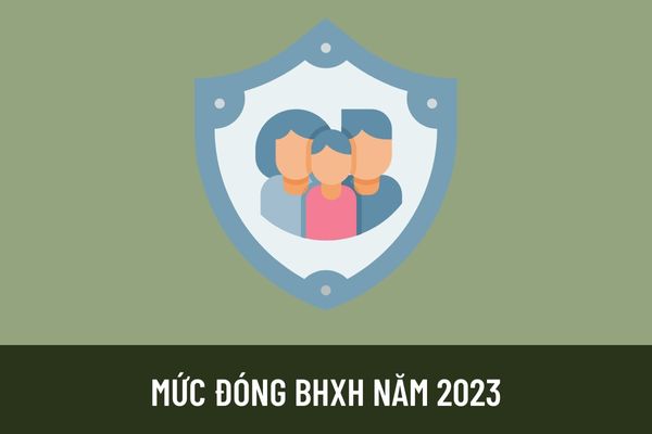 Người lao động và doanh nghiệp phải đóng bao nhiêu tiền bảo hiểm xã hội? Mức lương tối thiểu đóng BHXH 2023 là bao nhiêu?