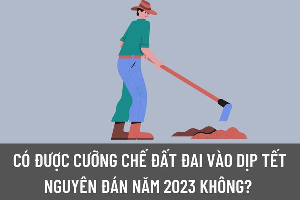 Không được cưỡng chế đất đai vào dịp Tết Nguyên Đán đúng không? Để cưỡng chế thu hồi đất thì phải đáp ứng điều kiện nào?