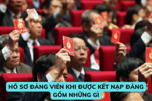 Hồ sơ Đảng viên khi được kết nạp Đảng gồm những gì? Những nội dung Đảng viên phải bổ sung hồ sơ hằng năm?