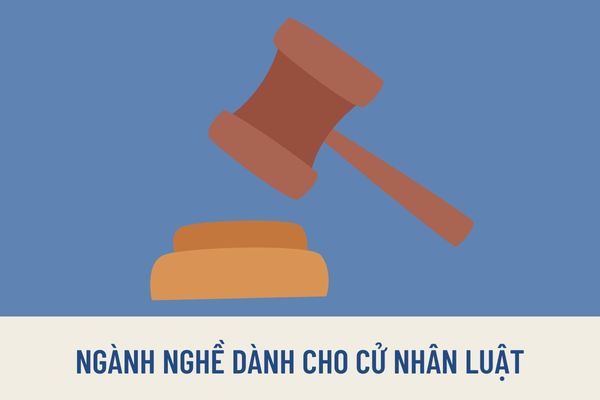 Những ngành nghề cần có bằng cử nhân luật mà sinh viên luật có thể lựa chọn sau khi tốt nghiệp?