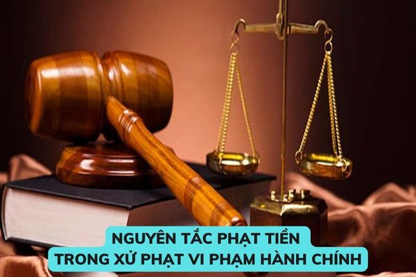 Nguyên tắc phạt tiền trong xử phạt vi phạm hành chính khi có tình tiết giảm nhẹ được quy định như thế nào?