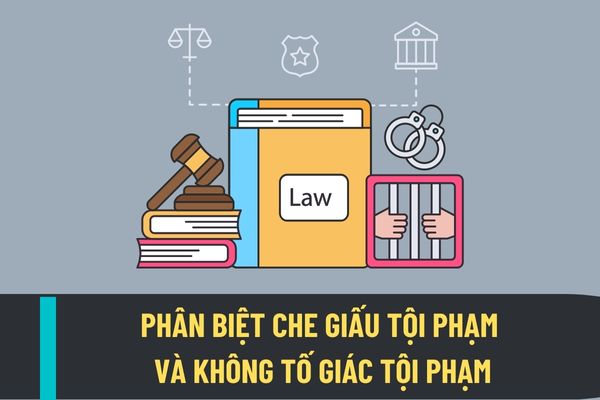 Phân biệt che giấu tội phạm và không tố giác tội phạm? Mức phạt đối với hai hành vi này được quy định như thế nào?