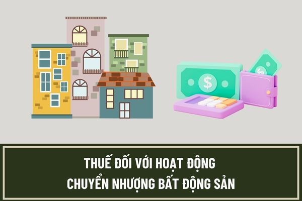 Khai thuế và phân bổ thuế giá trị gia tăng đối với hoạt động chuyển nhượng bất động sản như thế nào?