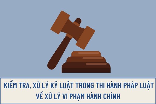 Mục đích của việc kiểm tra, xử lý kỷ luật trong thi hành pháp luật về xử lý vi phạm hành chính là gì?