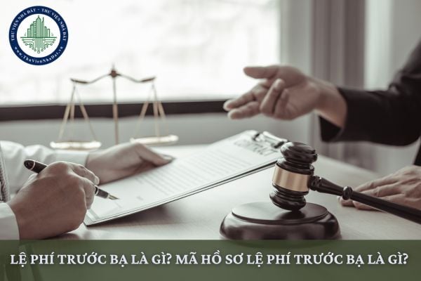 Lệ phí trước bạ là gì? Mã hồ sơ lệ phí trước bạ là gì?
