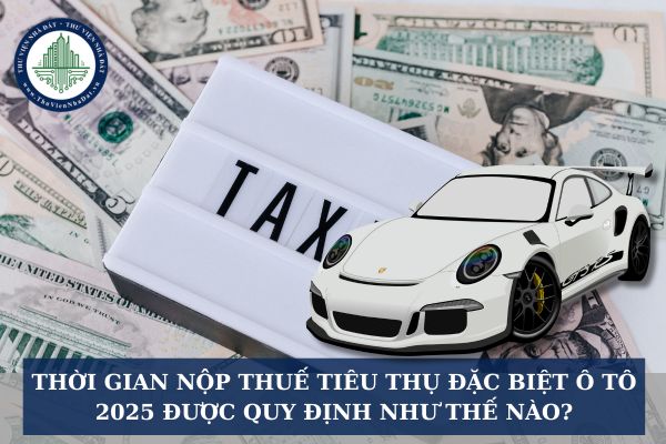 Thời gian nộp thuế tiêu thụ đặc biệt ô tô 2025 được quy định như thế nào?