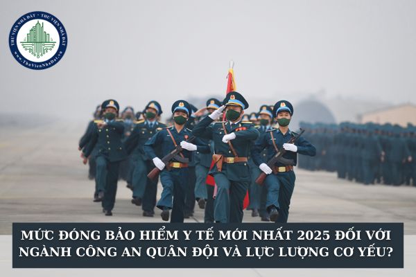 thuviennhadat.vn