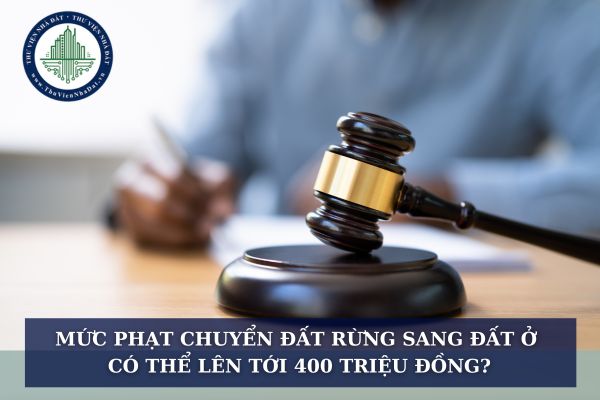 Mức phạt ​chuyển đất rừng sang đất ở có thể lên tới 400 triệu đồng?
