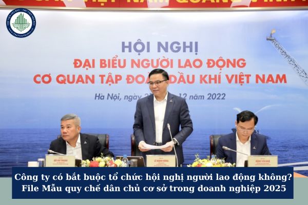 Công ty có bắt buộc tổ chức hội nghị người lao động không? File Mẫu quy chế dân chủ cơ sở trong doanh nghiệp 2025