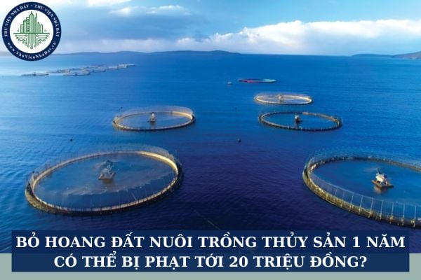 Bỏ hoang đất nuôi trồng thủy sản 1 năm có thể bị phạt tới 20 triệu đồng?