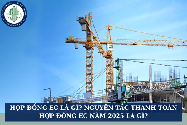 Hợp đồng EC là gì? Nguyên tắc thanh toán hợp đồng EC năm 2025 là gì?