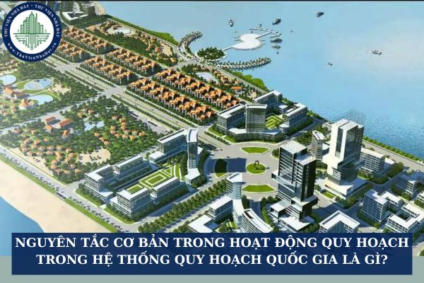 Nguyên tắc cơ bản trong hoạt động quy hoạch trong hệ thống quy hoạch quốc gia là gì?