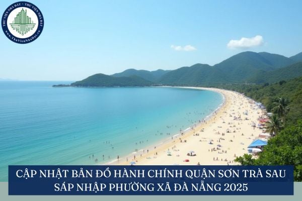 Cập nhật bản đồ hành chính Quận Sơn Trà sau sáp nhập phường xã Đà Nẵng 2025