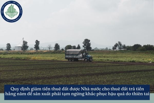 Quy định giảm tiền thuê đất được Nhà nước cho thuê đất trả tiền hằng năm để sản xuất phải tạm ngừng khắc phục hậu quả do thiên tai