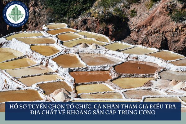 Hồ sơ tuyển chọn tổ chức, cá nhân tham gia điều tra địa chất về khoáng sản cấp trung ương