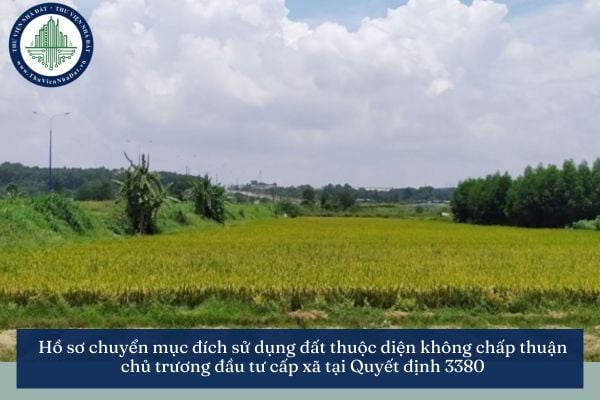 Hồ sơ chuyển mục đích sử dụng đất thuộc diện không chấp thuận chủ trương đầu tư cấp xã tại Quyết định 3380
