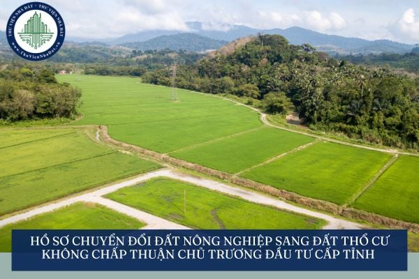 Hồ sơ chuyển đổi đất nông nghiệp sang đất thổ cư không chấp thuận chủ trương đầu tư cấp tỉnh từ ngày 25/8/2025