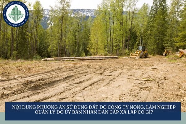 Nội dung phương án sử dụng đất do công ty nông, lâm nghiệp quản lý do Ủy ban nhân dân cấp xã lập có gì?