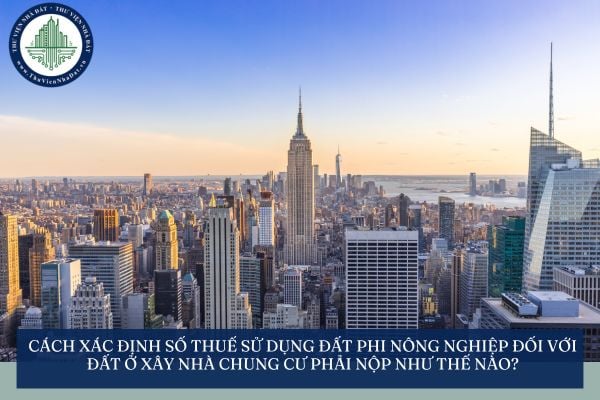 Cách xác định số thuế sử dụng đất phi nông nghiệp đối với đất ở xây nhà chung cư phải nộp như thế nào?
