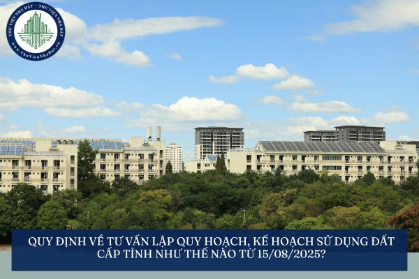Quy định về tư vấn lập quy hoạch, kế hoạch sử dụng đất cấp tỉnh như thế nào từ 15/08/2025?