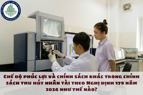 Chế độ phúc lợi và chính sách khác trong chính sách thu hút nhân tài theo Nghị định 179 năm 2024 như thế nào?