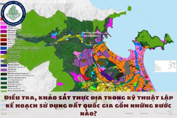 Điều tra, khảo sát thực địa trong kỹ thuật lập kế hoạch sử dụng đất quốc gia gồm những bước nào?