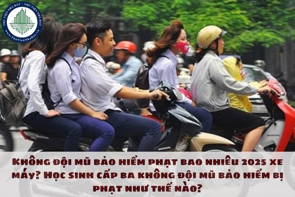 Không đội mũ bảo hiểm phạt bao nhiêu 2025 xe máy? Học sinh cấp ba không đội mũ bảo hiểm bị phạt như thế nào?