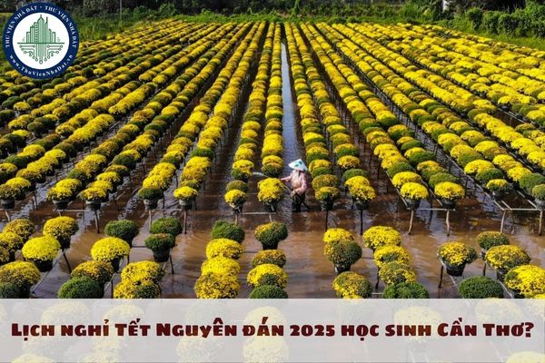 Lịch nghỉ Tết Nguyên đán 2025 học sinh Cần Thơ như thế nào?