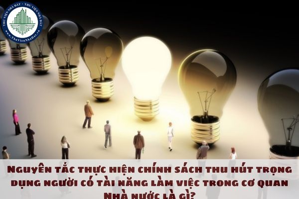 Nguyên tắc thực hiện chính sách thu hút trọng dụng người có tài năng làm việc trong cơ quan Nhà nước là gì?