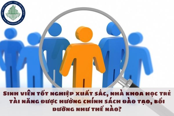 Sinh viên tốt nghiệp xuất sắc, nhà khoa học trẻ tài năng được hưởng chính sách đào tạo, bồi dưỡng như thế nào?