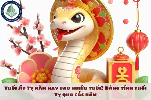 Tuổi Ất Tỵ năm nay 2025 bao nhiêu tuổi? Bảng tính tuổi Tỵ qua các năm